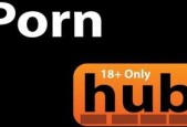 国产PORN视频